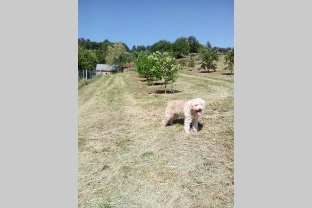 La Truffiere Βίλα Castelnau-de-Mandailles Εξωτερικό φωτογραφία